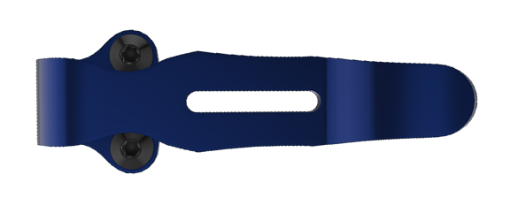537 - CSTM CLIP