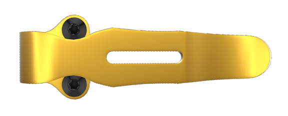 537 - CSTM CLIP