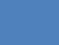 Blue Custom Knife Button Component - Flat View | Benchmade Knife Co.