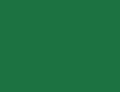 Green Custom Knife Button Component - Flat View | Benchmade Knife Co.