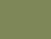 Olive Drab Custom Knife Button Component - Flat View | Benchmade Knife Co.
