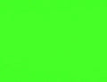 Neon Green Grivory Custom Left Handle Component - Color Swatch | Benchmade Knife Co.