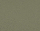 Olive Drab Grivory Custom Left Handle Component - Color Swatch | Benchmade Knife Co.