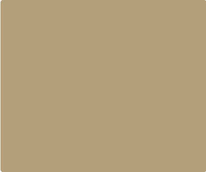 Desert Tan 585 Custom Knife Backspacer Component - Color Swatch | Benchmade Knife Co.