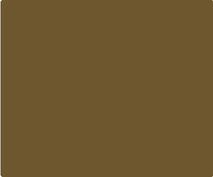 Flat Dark Earth 585 Custom Knife Backspacer Component - Color Swatch | Benchmade Knife Co.