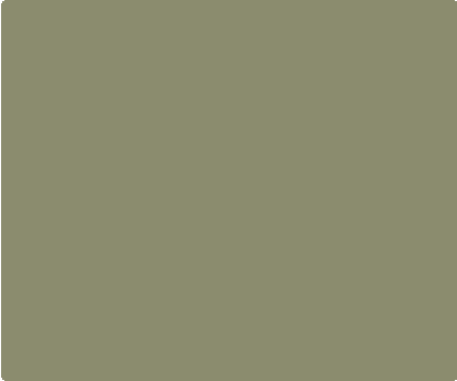 Olive Drab 585 Custom Knife Backspacer Component - Color Swatch | Benchmade Knife Co.