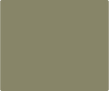 Olive Drab CSTM Backspacer 15080 - Color Swatch | Benchmade Knife Co.