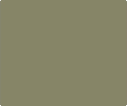 Olive Drab CSTM Backspacer 15080 - Color Swatch | Benchmade Knife Co.